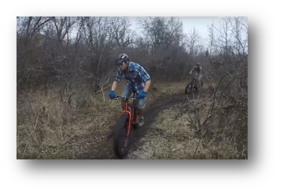 Mountain bikes in a park