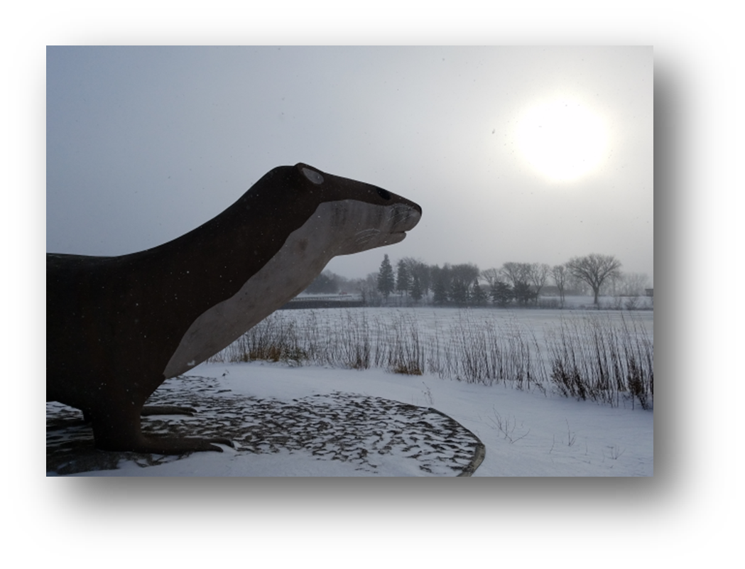 Otter statute in a park