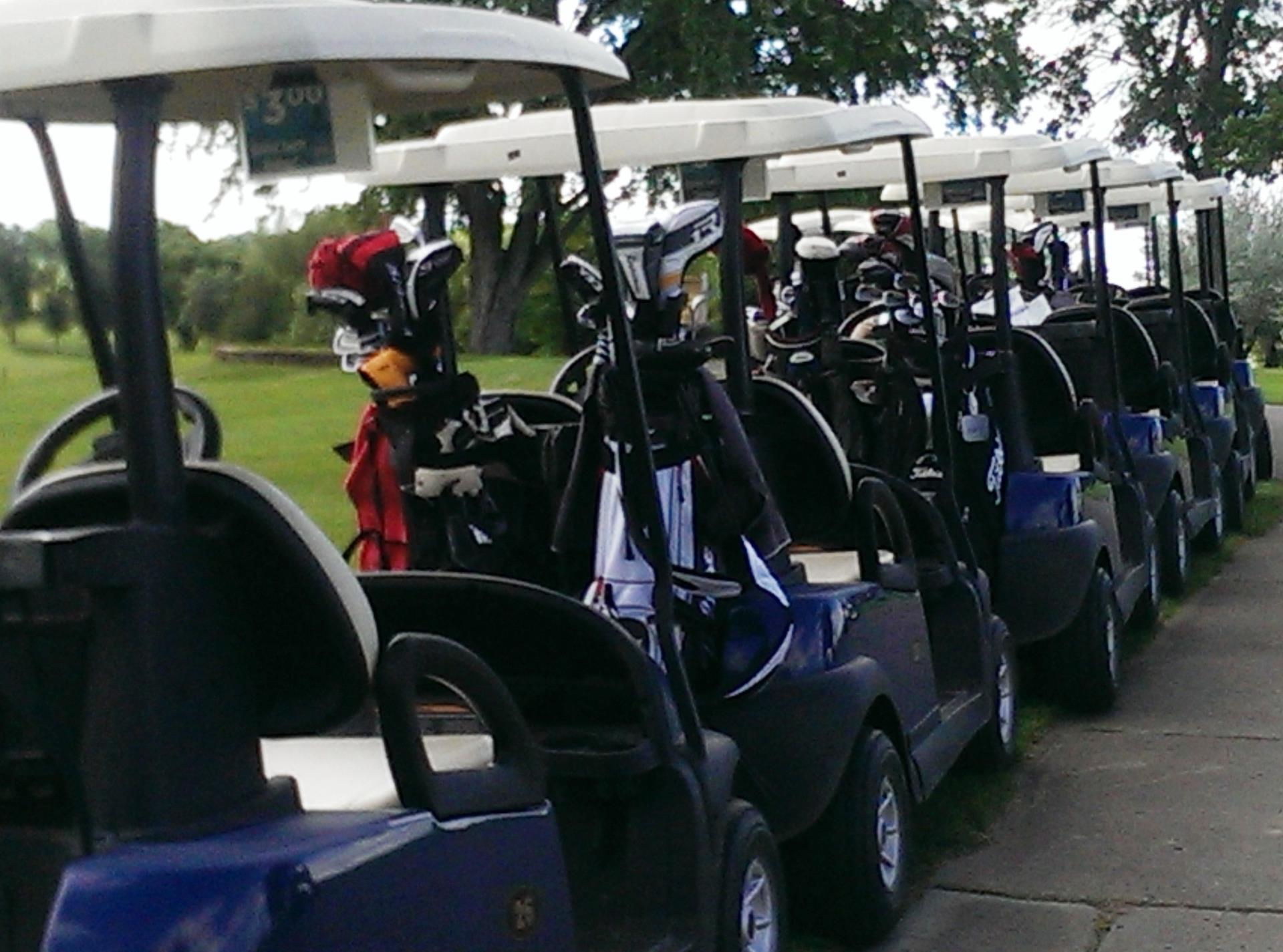 Line of golf carts